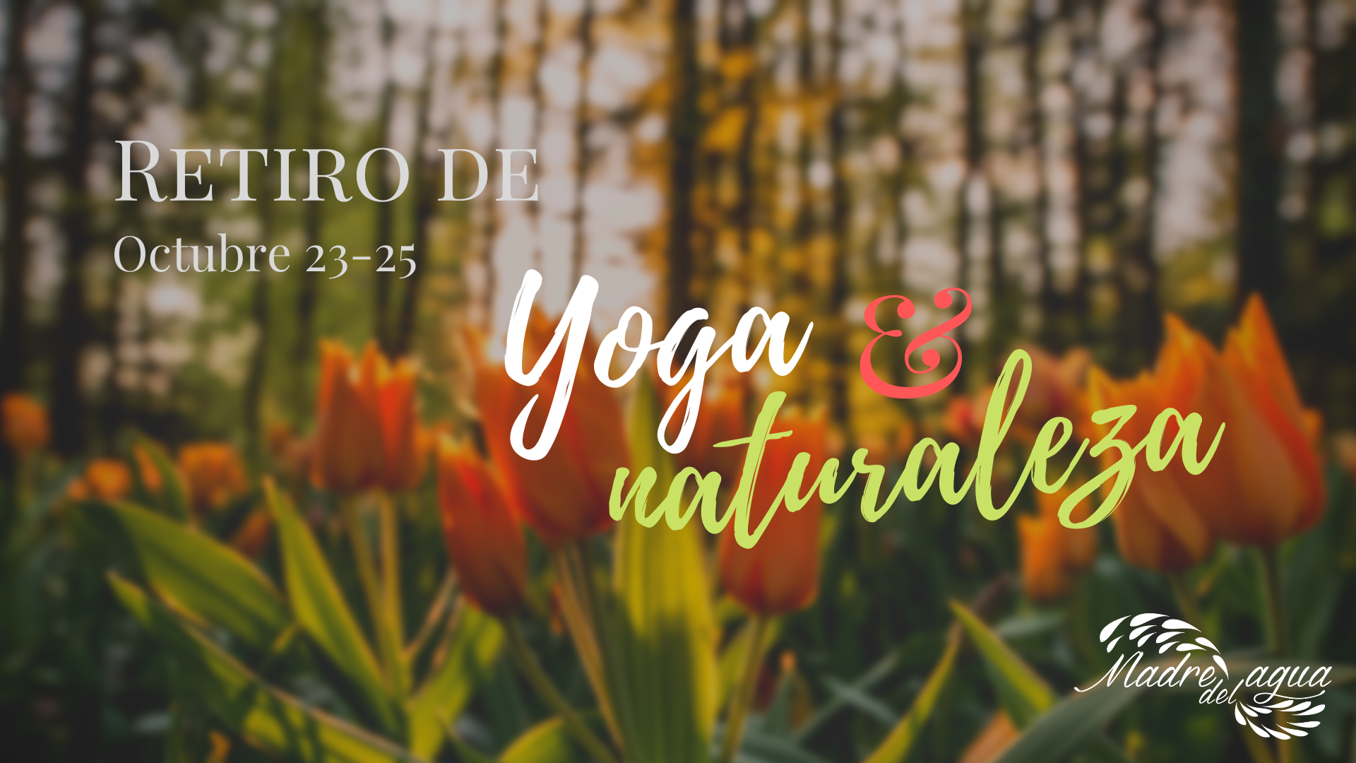 retiro-yoga-madrid